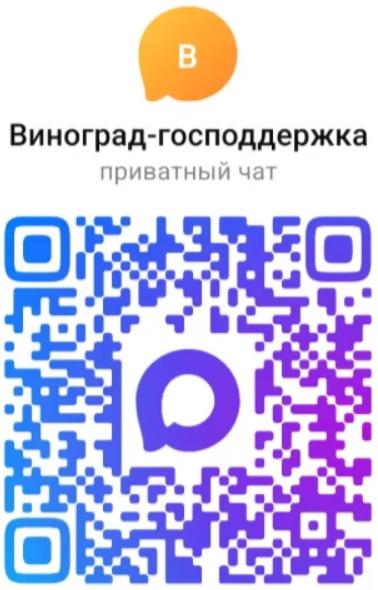 QR-код чата «Виноград-господдержка» на платформе MAX