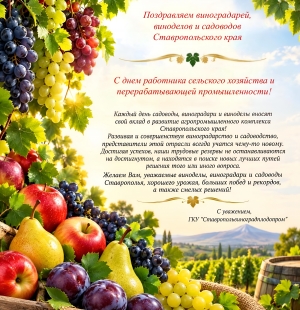 ПОЗДРАВЛЯЕМ ВИНОГРАДАРЕЙ, ВИНОДЕЛОВ И САДОВОДОВ СТАВРОПОЛЬСКОГО КРАЯ!